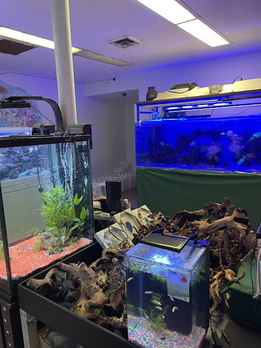 The Fish Store Picture 7