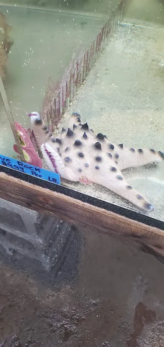 The Fish Store Picture 8