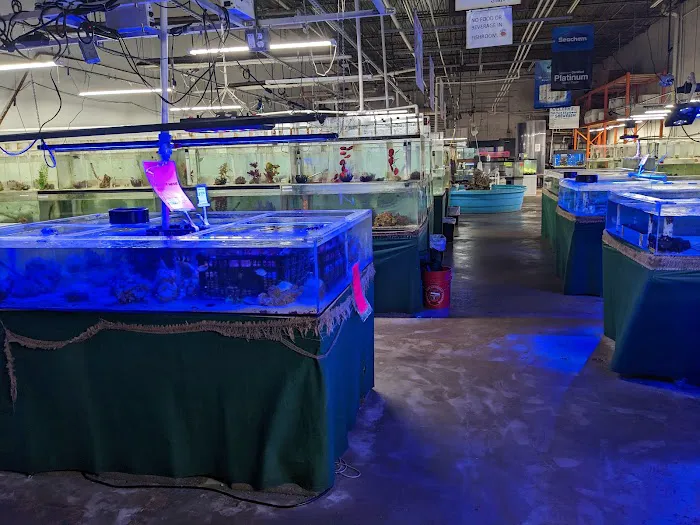 The Fish Store Picture 9