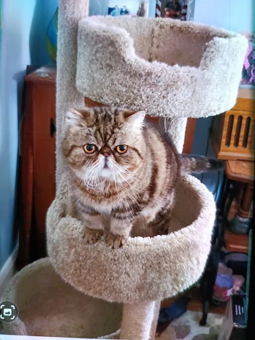 Abbey Animal Hospital Picture 8