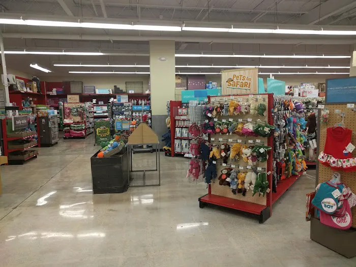 Petco Picture 1