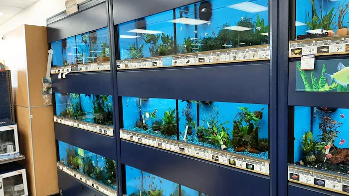 Petco Picture 10