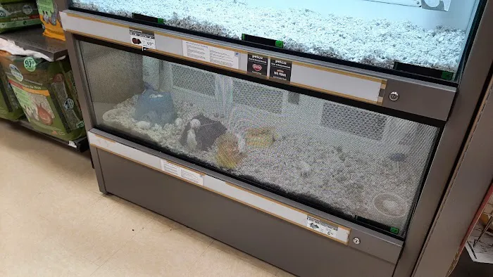 Petco Picture 8