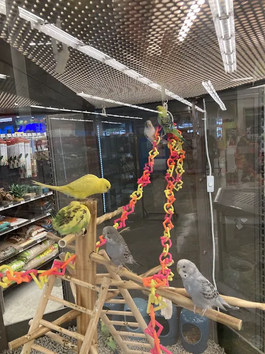 Petco Picture 7