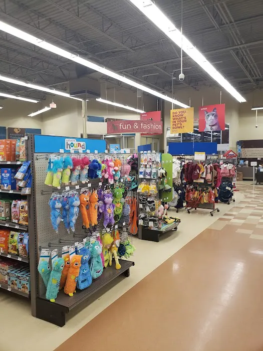 Petco Picture 8