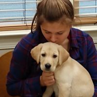 Town & Country Animal Hospital ico