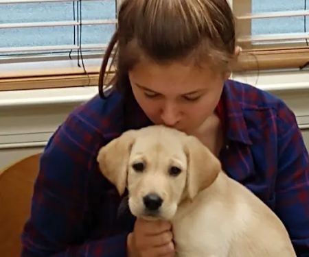 Town & Country Animal Hospital