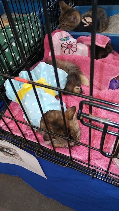 Pet Supplies Plus Smyrna Picture 4