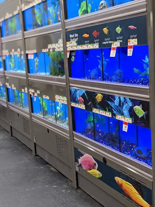 Pet Supplies Plus Smyrna Picture 7