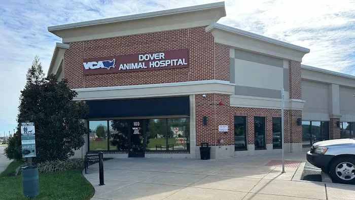 VCA Dover Animal Hospital Picture 3