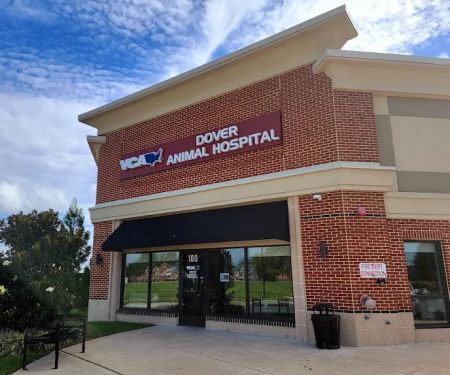 VCA Dover Animal Hospital