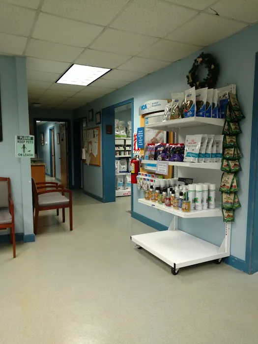 VCA Dover Animal Hospital Picture 5