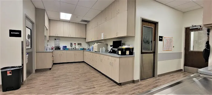 VCA Dover Animal Hospital Picture 8