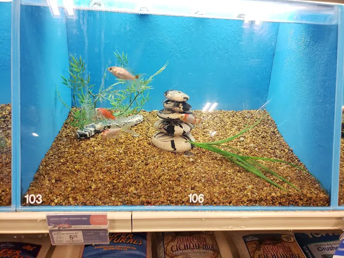 Petco Picture 1
