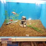Petco