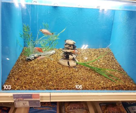 Petco