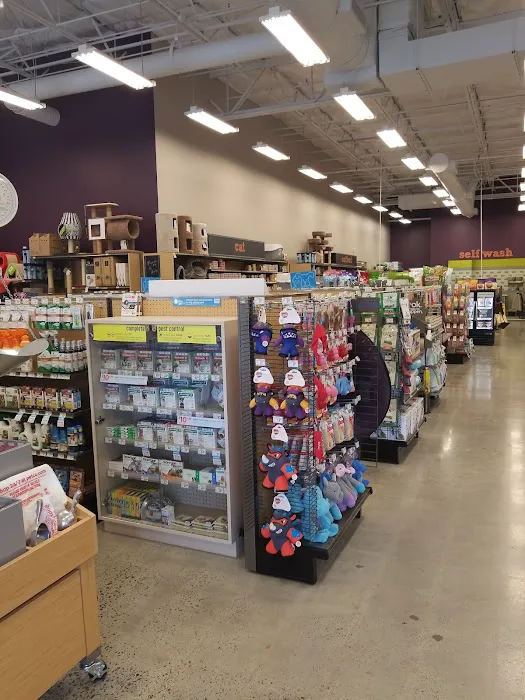 Petco Picture 2