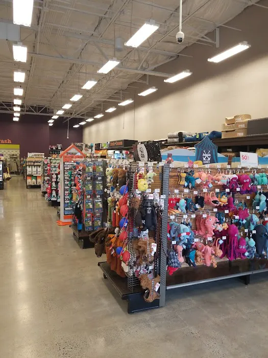 Petco Picture 6