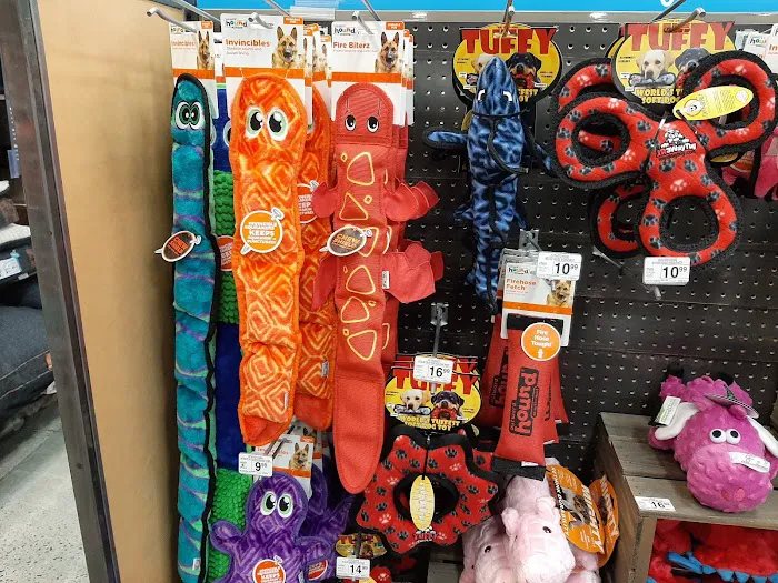 Petco Picture 7