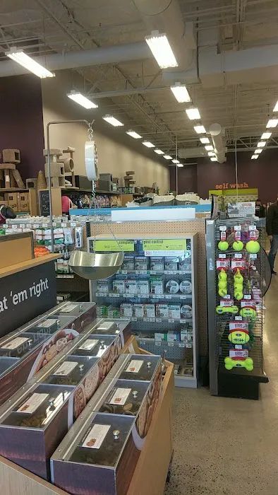 Petco Picture 8