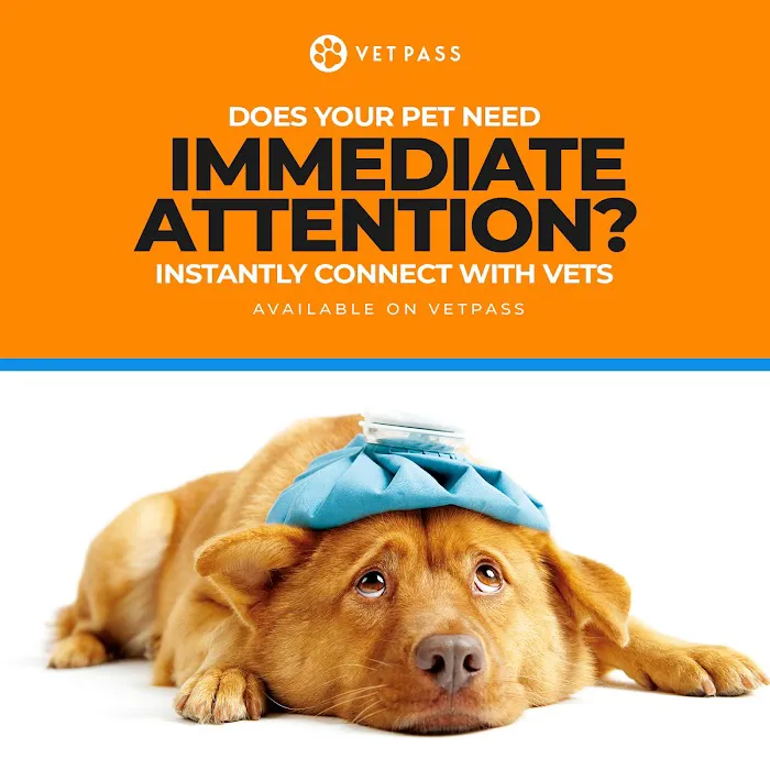 VETPASS Inc Picture 7