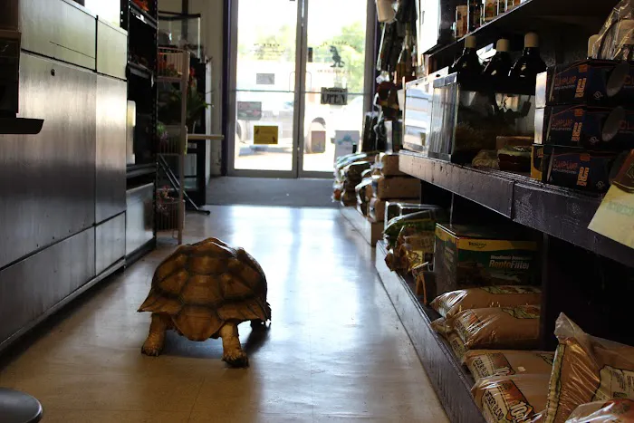 AniMart Pets Picture 9