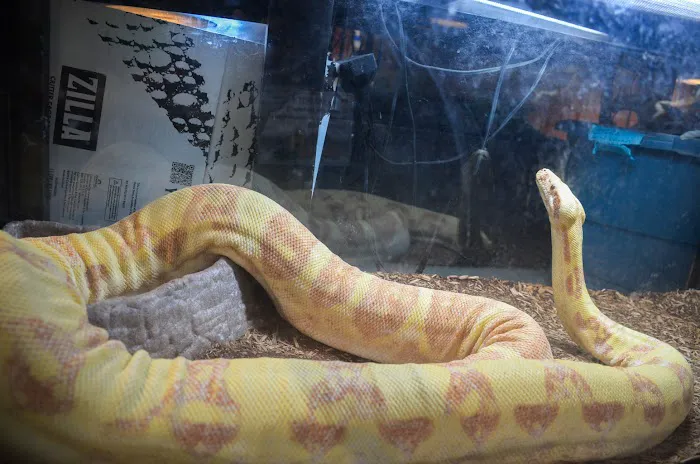 AniMart Pets Picture 8
