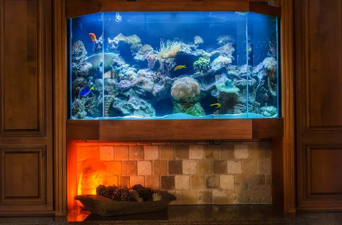 Premier Aquatics Picture 10