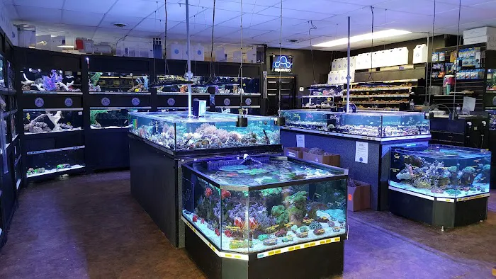 Premier Aquatics Picture 9