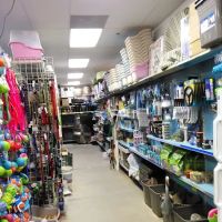 Furry Feet and feathers llc ico