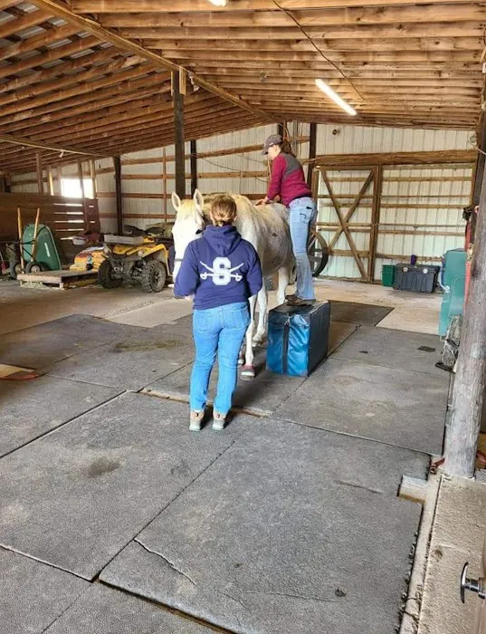 Delmarva Equine Clinic Picture 1