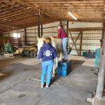 Delmarva Equine Clinic