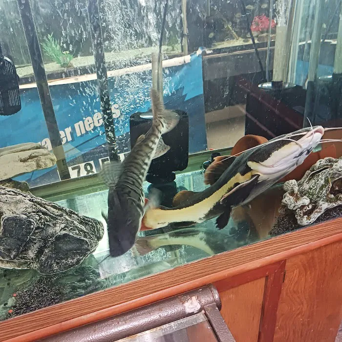 Fish Bolz Picture 2