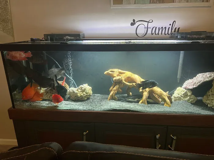 Fish Bolz Picture 1