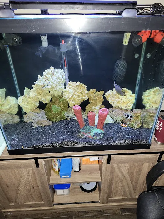 Fish Bolz Picture 4