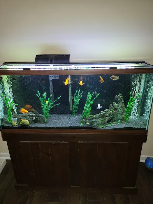 Fish Bolz Picture 7