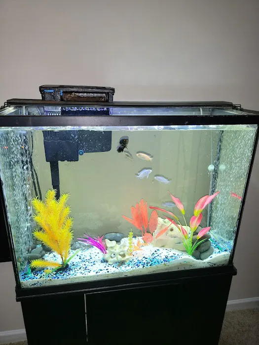 Fish Bolz Picture 10