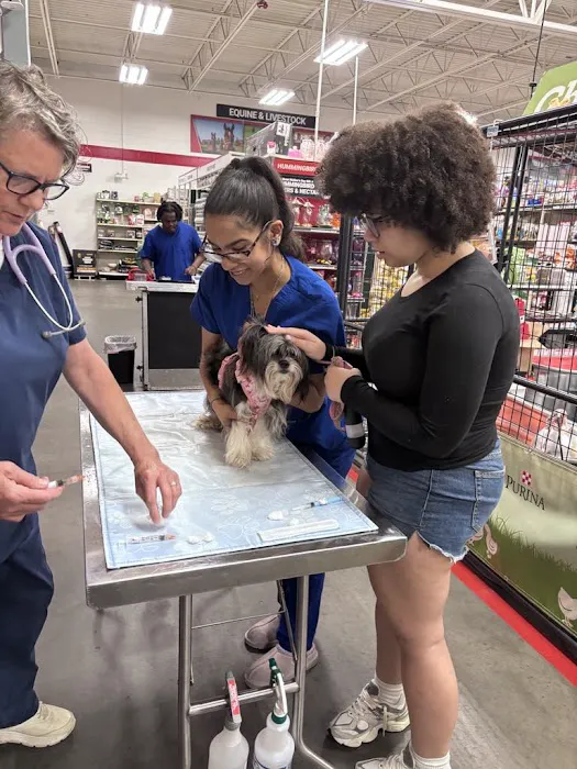PetVet Vaccination Clinic Picture 1