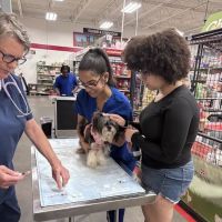 PetVet Vaccination Clinic ico