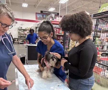 PetVet Vaccination Clinic