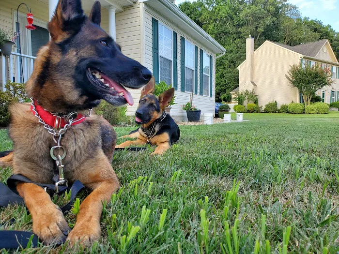 Dover AFB Veterinary Treatment Facility Picture 1