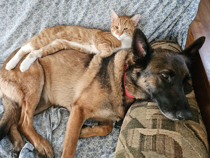 Dover AFB Veterinary Treatment Facility Picture 10