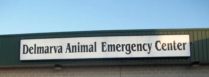 Delmarva Animal Emergency Center Picture 2