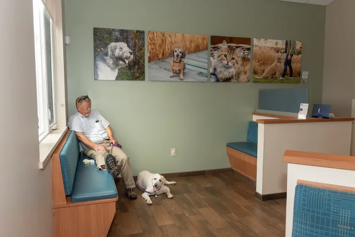 Queenstown Veterinary Hospital Picture 1