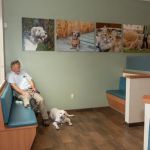 Queenstown Veterinary Hospital