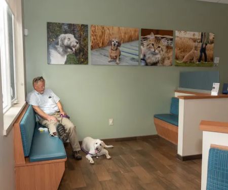 Queenstown Veterinary Hospital