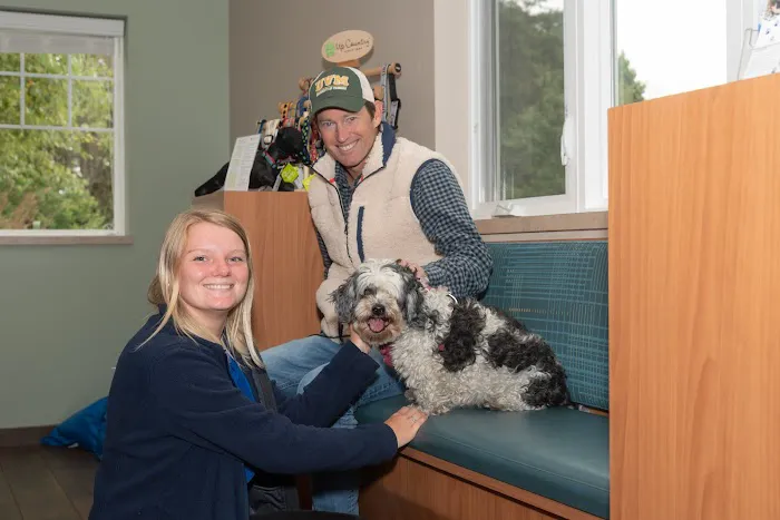 Queenstown Veterinary Hospital Picture 3