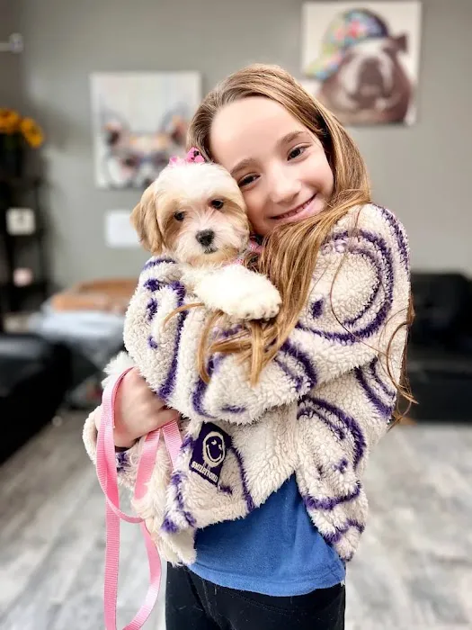 Georgia Puppies Online Picture 9