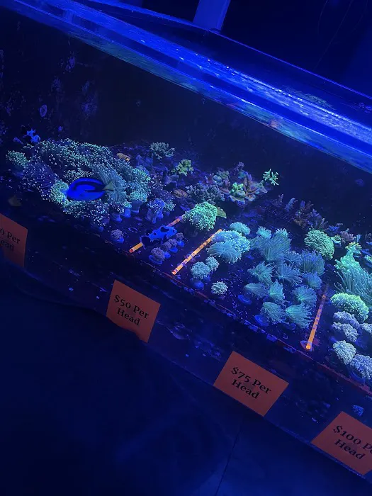 Reef Shac Picture 2