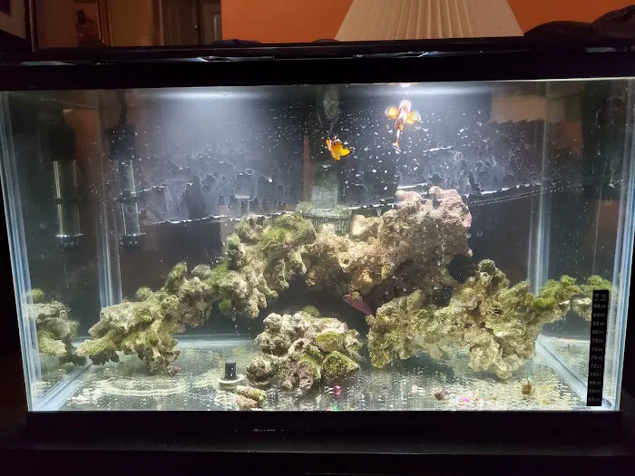 Reef Shac Picture 6